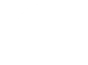 wordpress white e1726873310633
